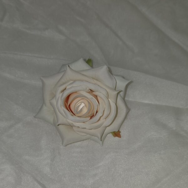 20260304 105406 600x600