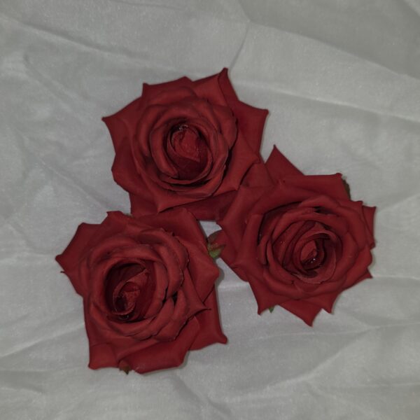 20260304 105716 600x600