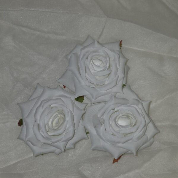 20260304 105827 600x600