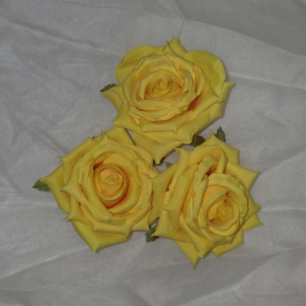 20260304 110011 600x600