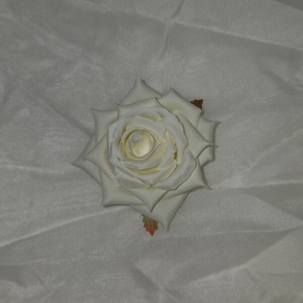 20260304 110124 600x600