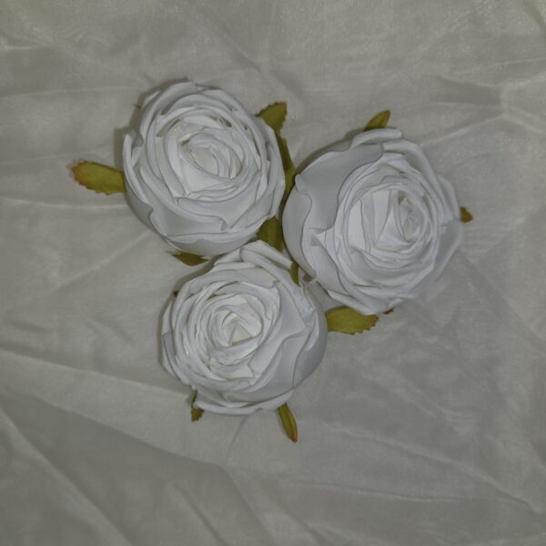 20260304 110331 600x600