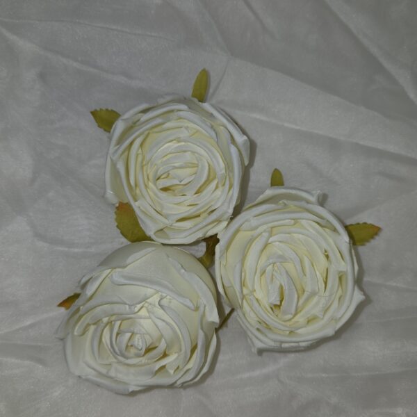 20260304 110441 600x600