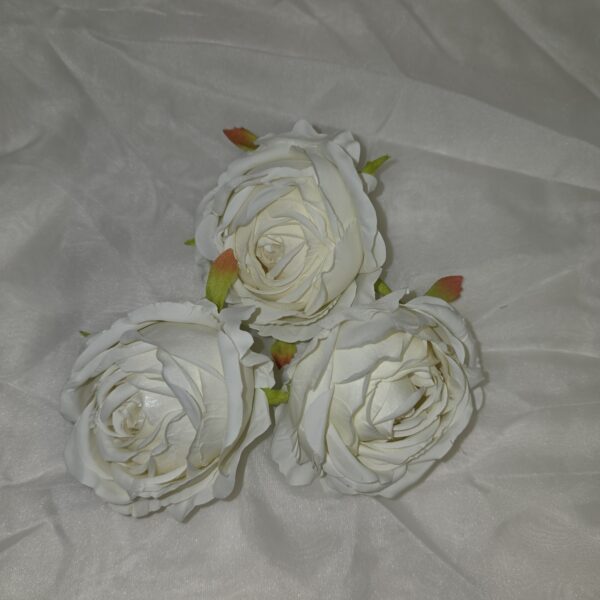 20260304 110735 600x600