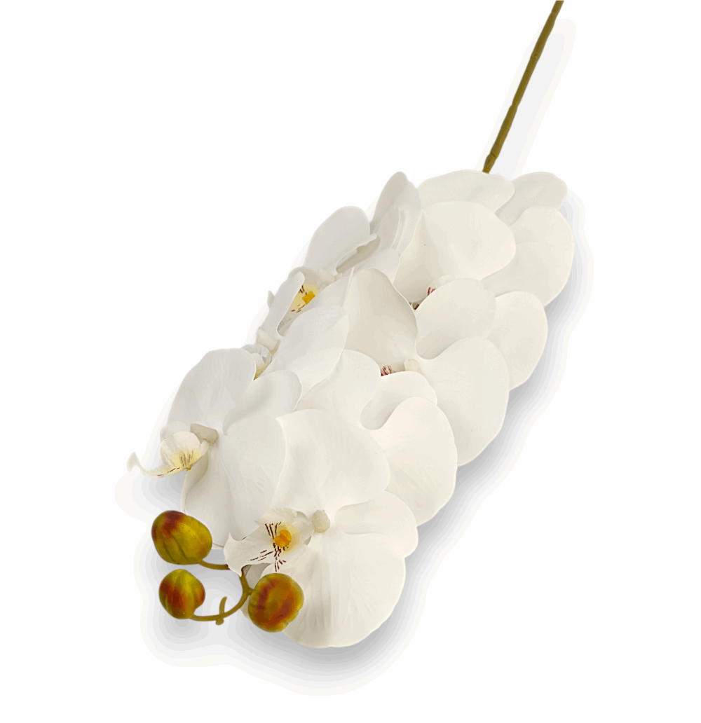 Orchidej gelová Real Touch