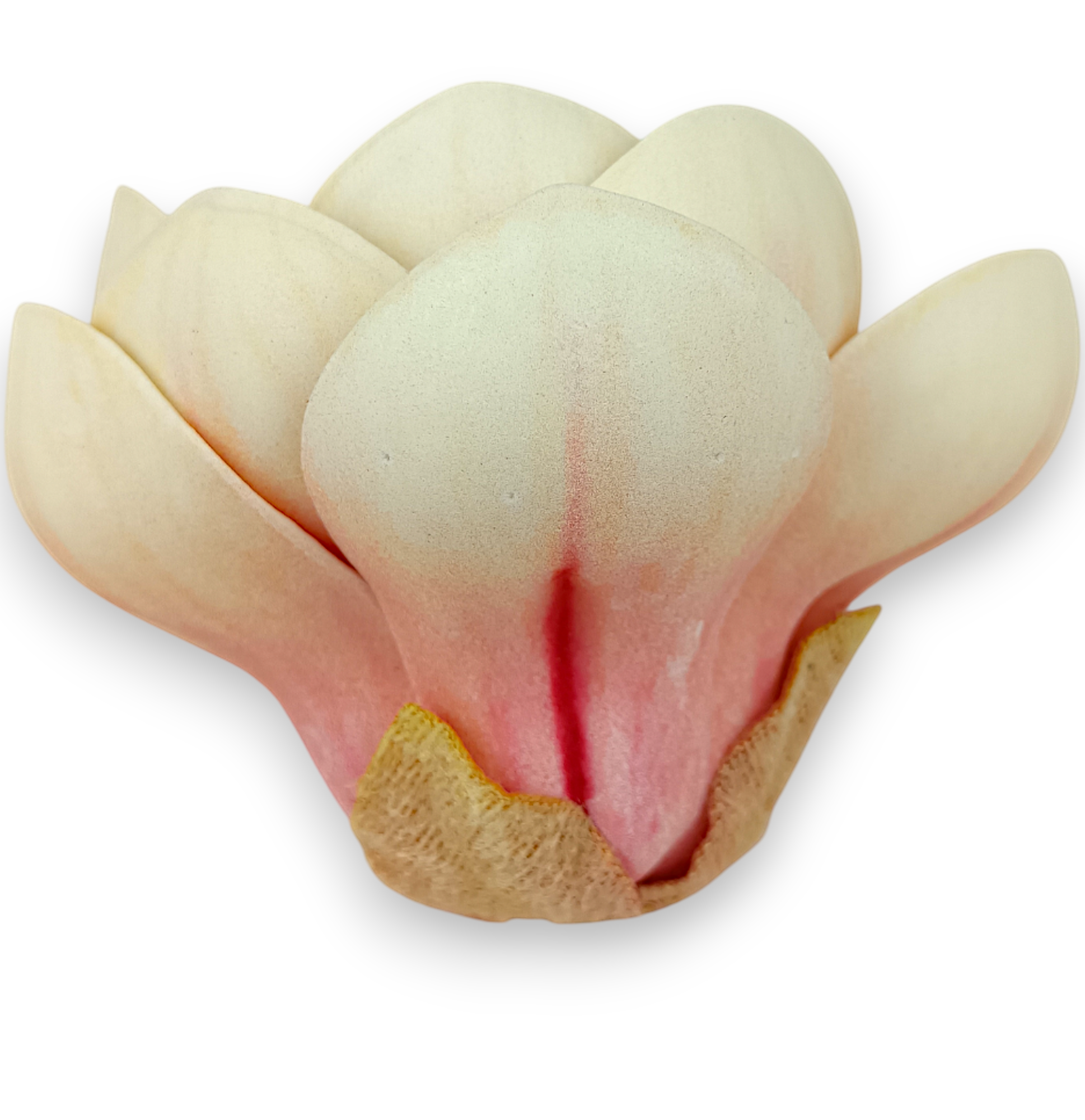 Magnolie Real Touch broskvová - Image 2