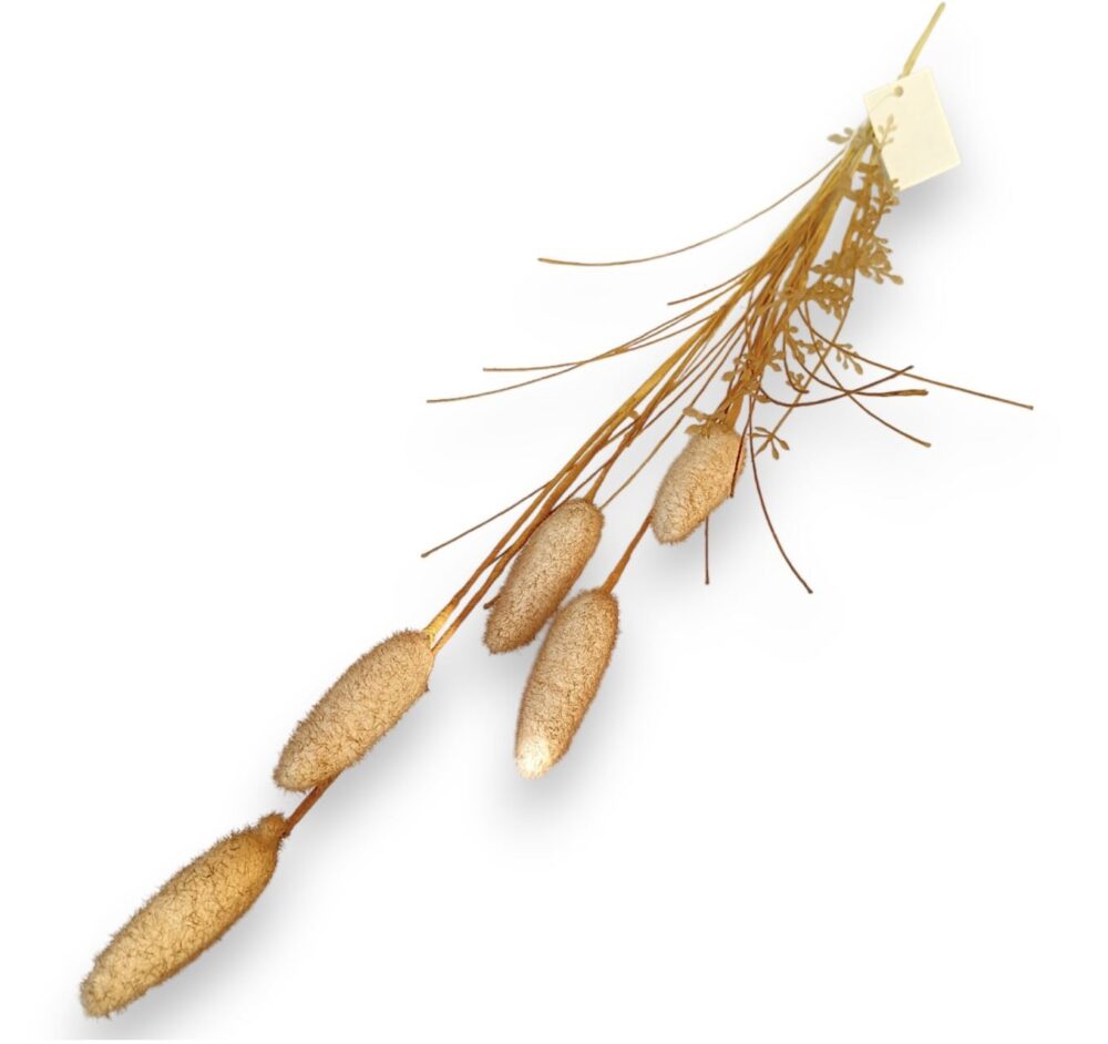 Lagurus – umělá tráva (zajícův ocas)