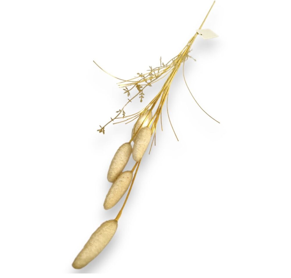 Lagurus – umělá tráva (zajícův ocas)