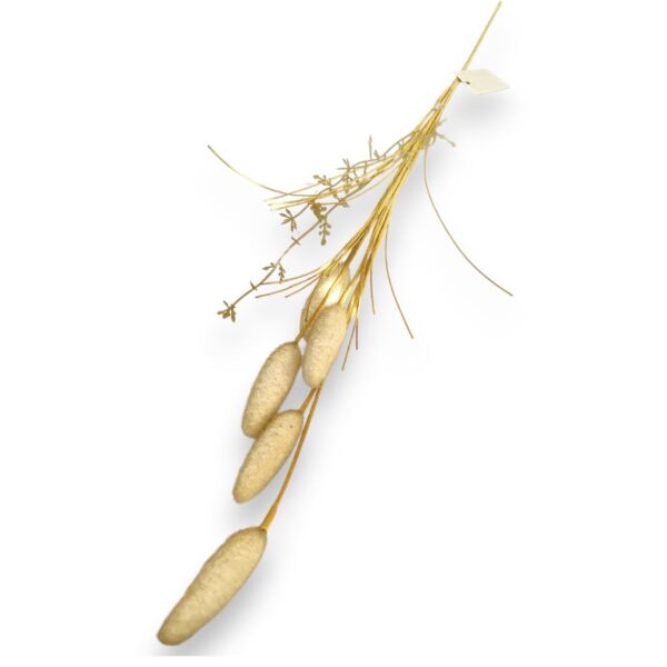 Lagurus – umělá tráva (zajícův ocas)