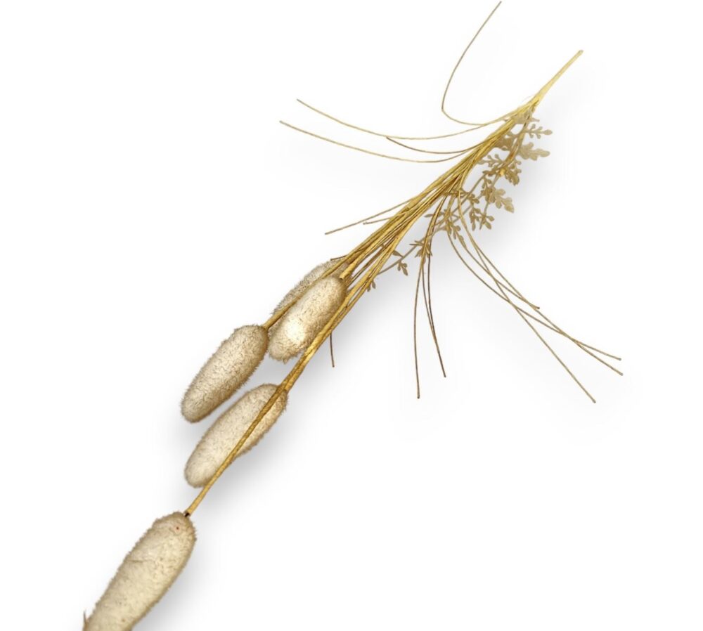 Lagurus – umělá tráva (zajícův ocas)