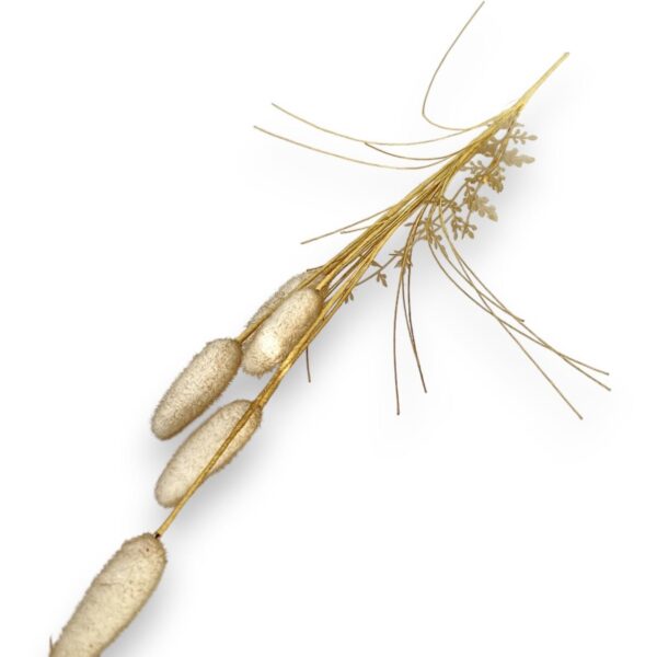 Lagurus – umělá tráva (zajícův ocas)