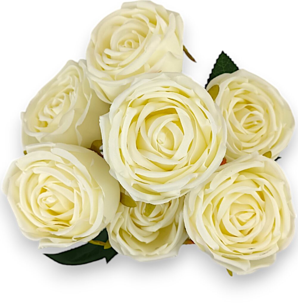 Růže pivoňka krémová