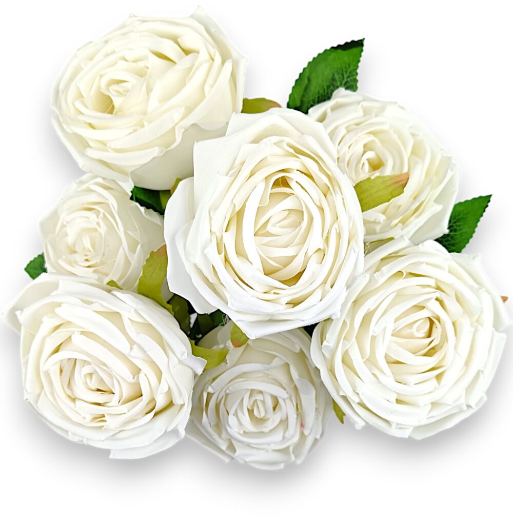 Růže pivoňka bílá