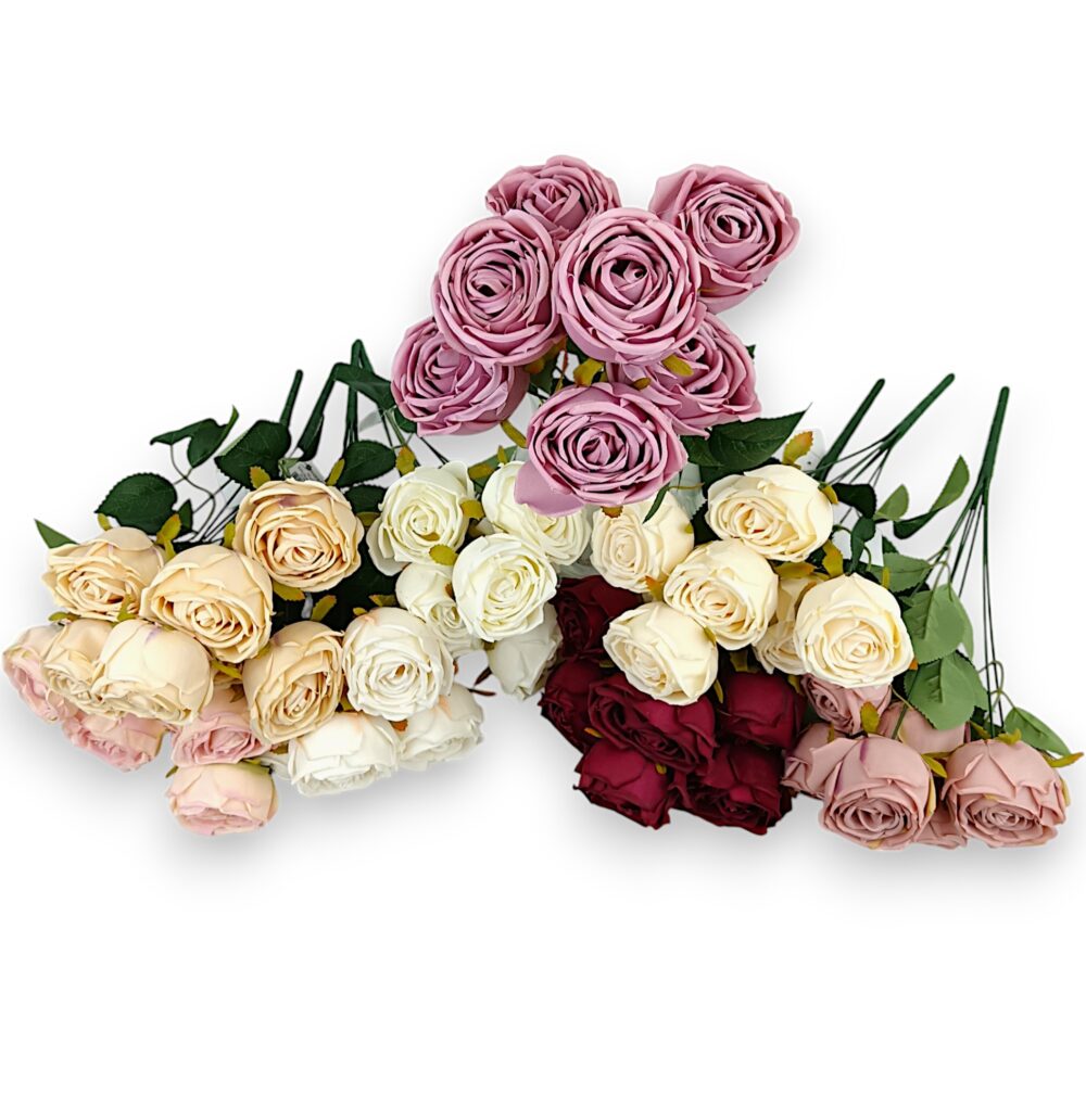 Růže pivoňka burgundská - Image 3