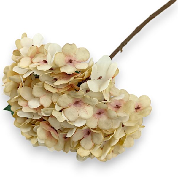 Hortenzie umělá s efektem stabilizované květiny Krémová