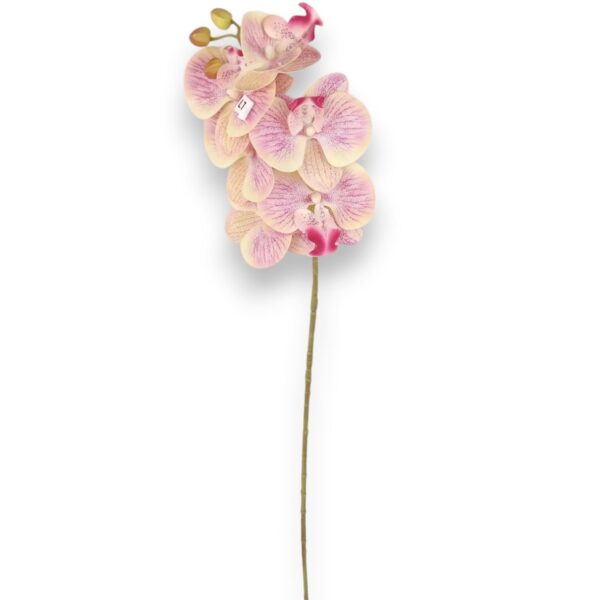 Orchidej gelová Real Touch krémová