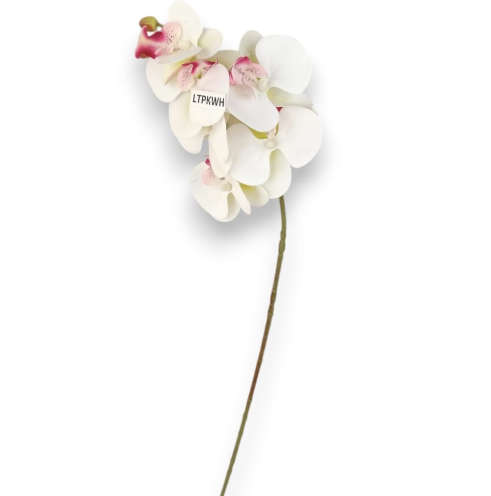 Orchidej gelová Real Touch bílo-růžová