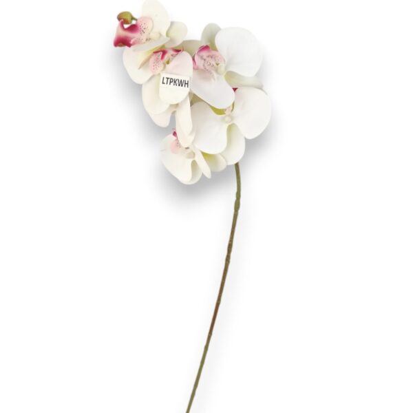 Orchidej gelová Real Touch bílo-růžová