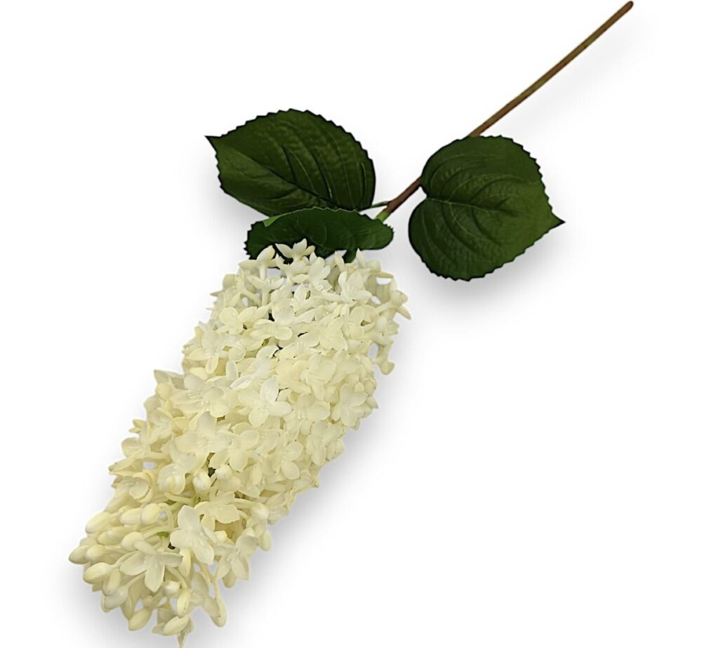 Hortenzie královská gelová bílá