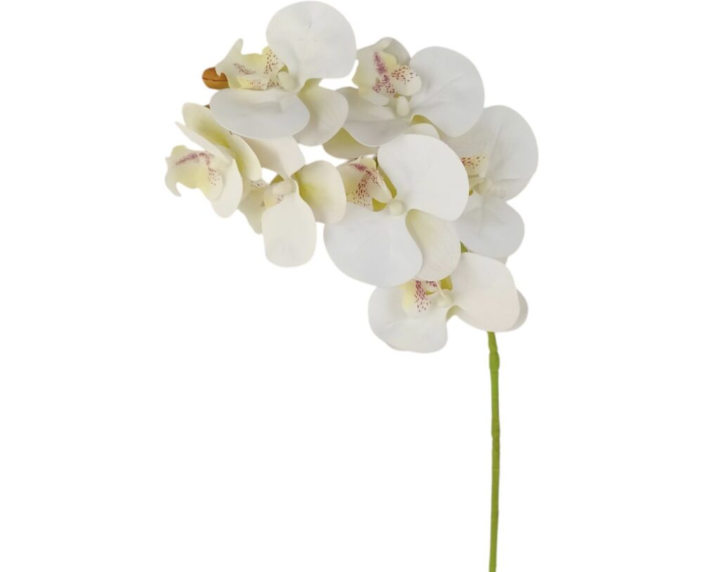 Orchidej gelová Real Touch bílá