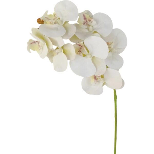 Orchidej gelová Real Touch bílá