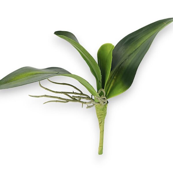 Listy orchideje umělé