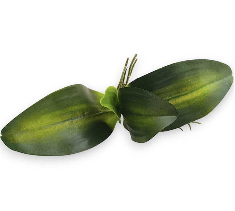 Listy orchideje umělé - Image 2