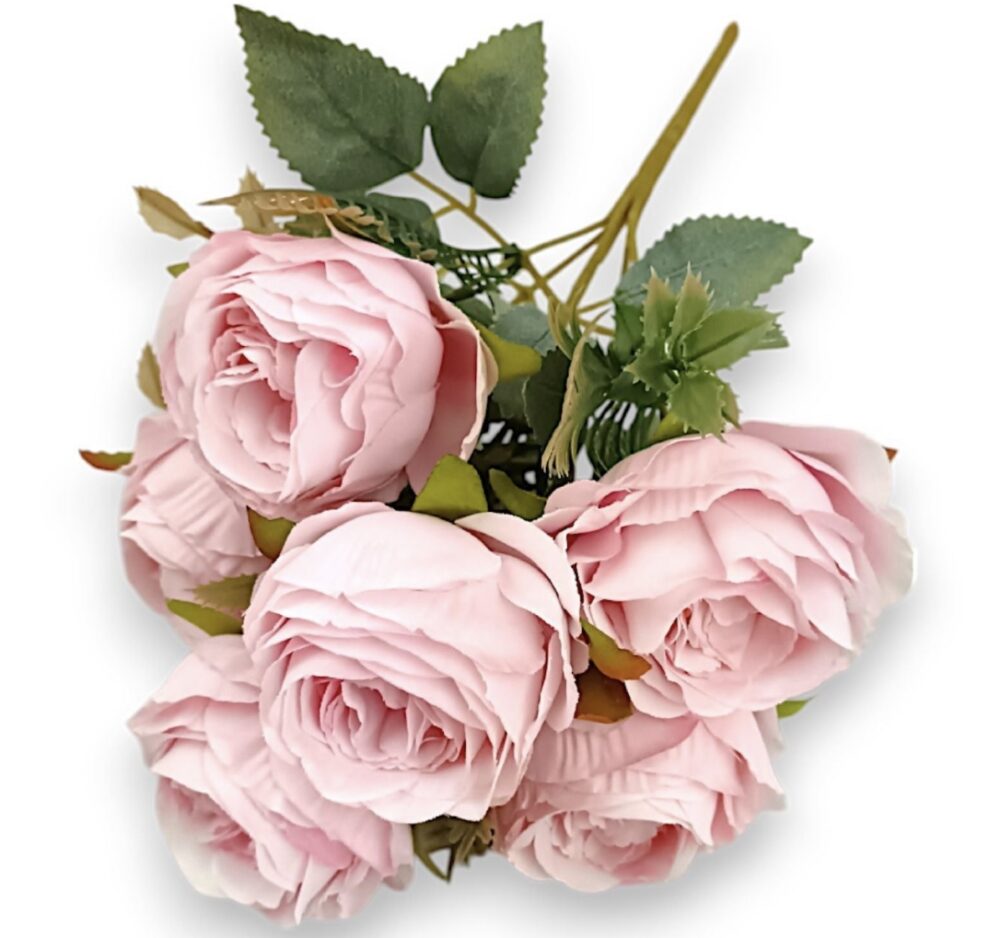 Růže klasická růžová