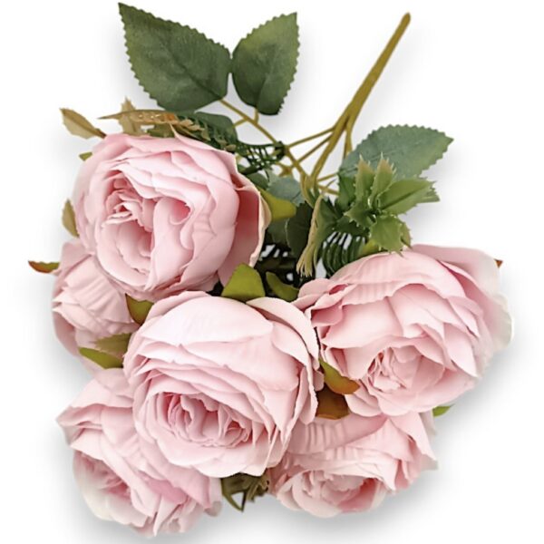 Růže klasická růžová