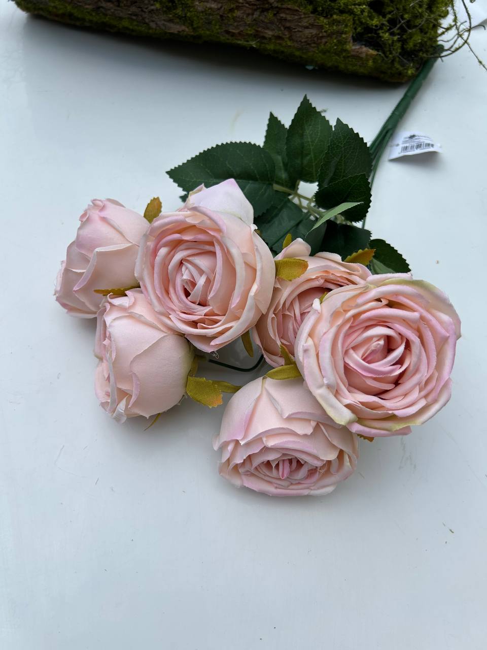 Pivoňková růže – růžová