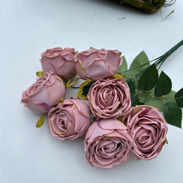 Růže pivoňka růžovo-tmavá