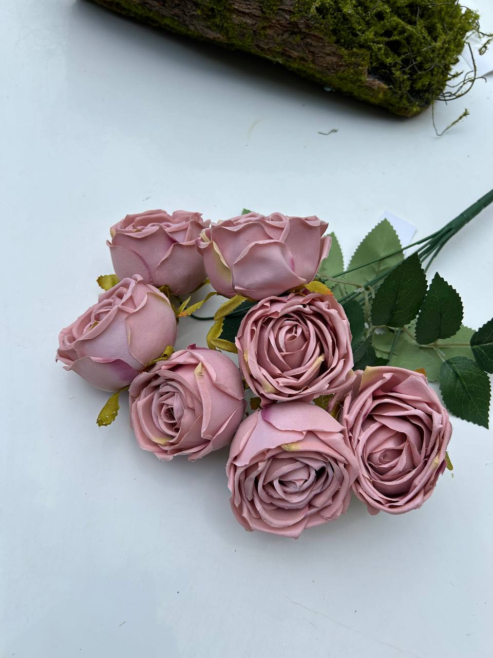 Růže pivoňka růžovo-tmavá