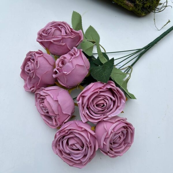 Růže pivoňka fialová