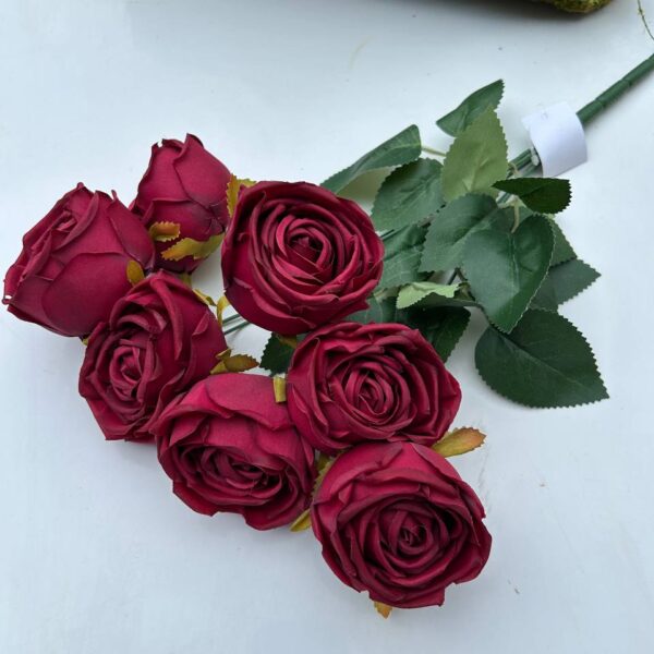 Růže pivoňka burgundská