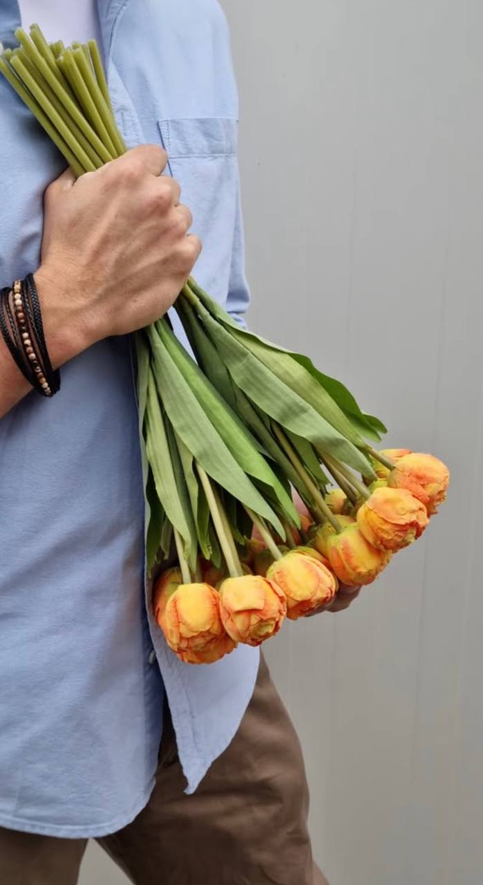 Pivoňkové tulipány žlutá