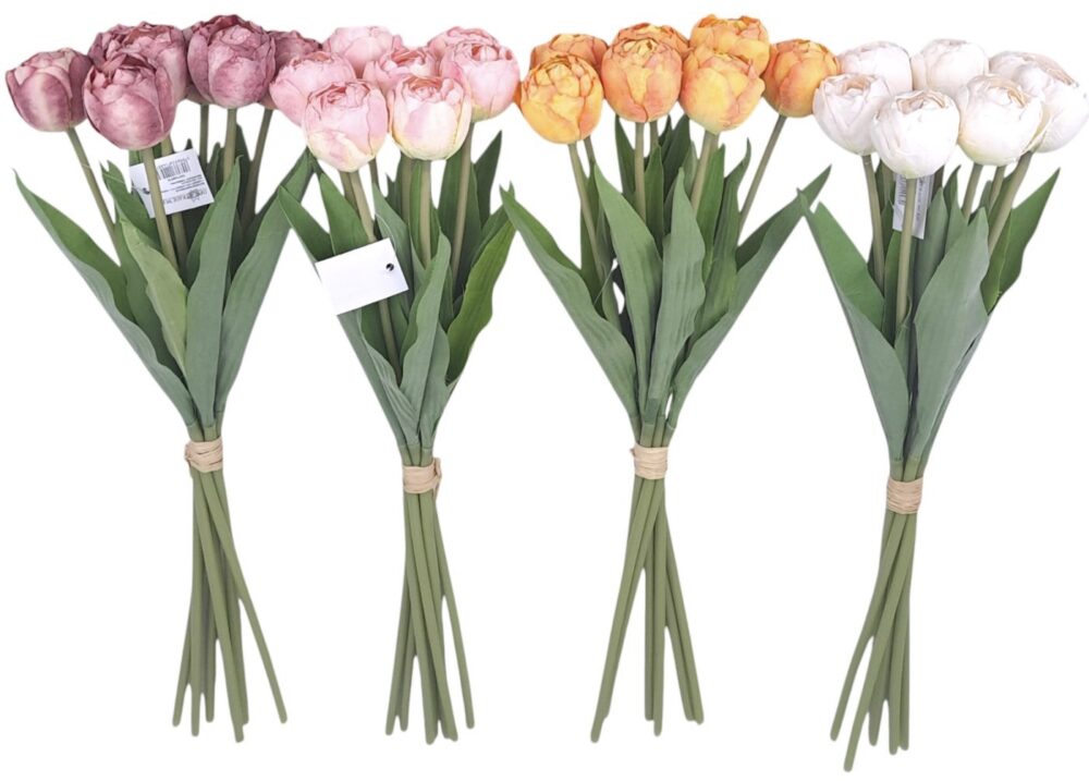 Pivoňkové tulipány žlutá - Image 2