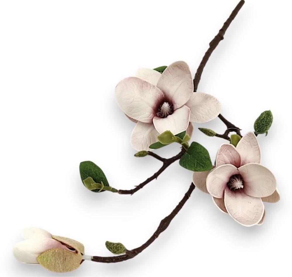 Magnolia Wedding -krémová