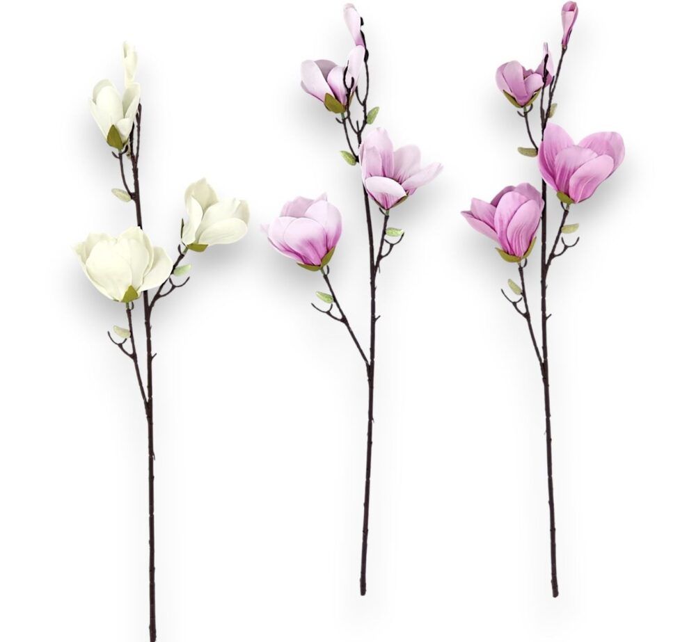 Magnolia King -krémová - Image 2