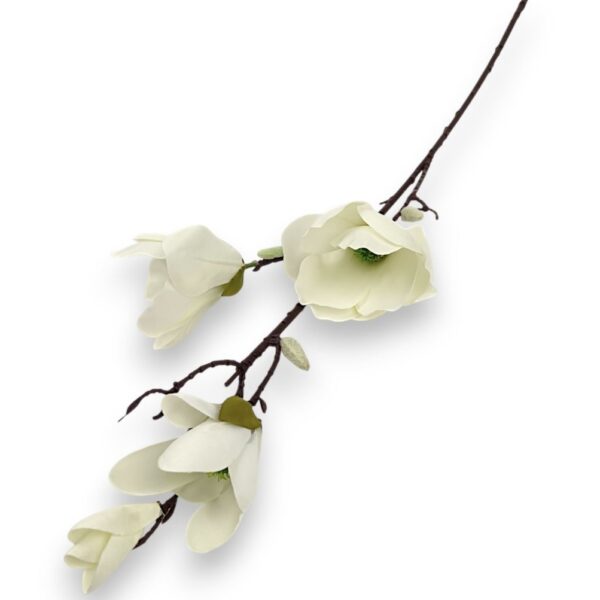 Magnolia King -krémová