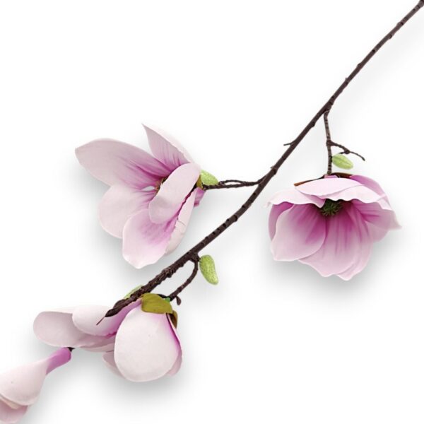 Magnolia King -větle růžová