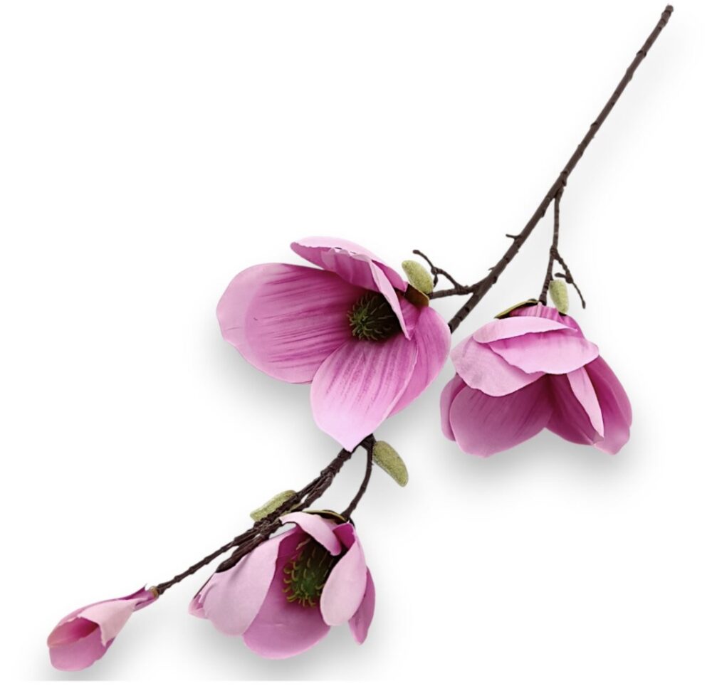 Magnolia King - růžová