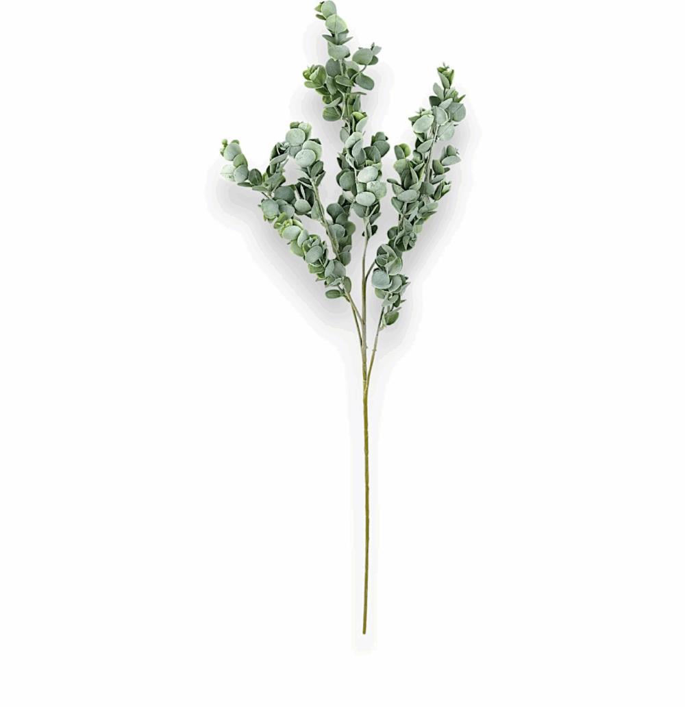 Eukalyptus – umělá rostlina - Image 2