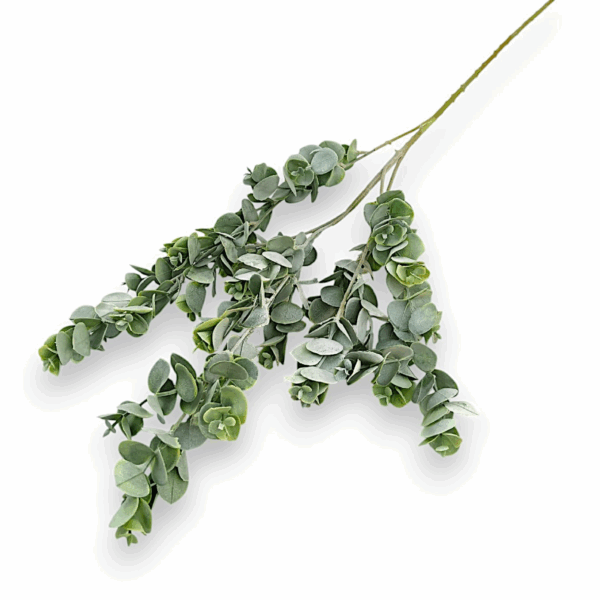 Eukalyptus – umělá rostlina