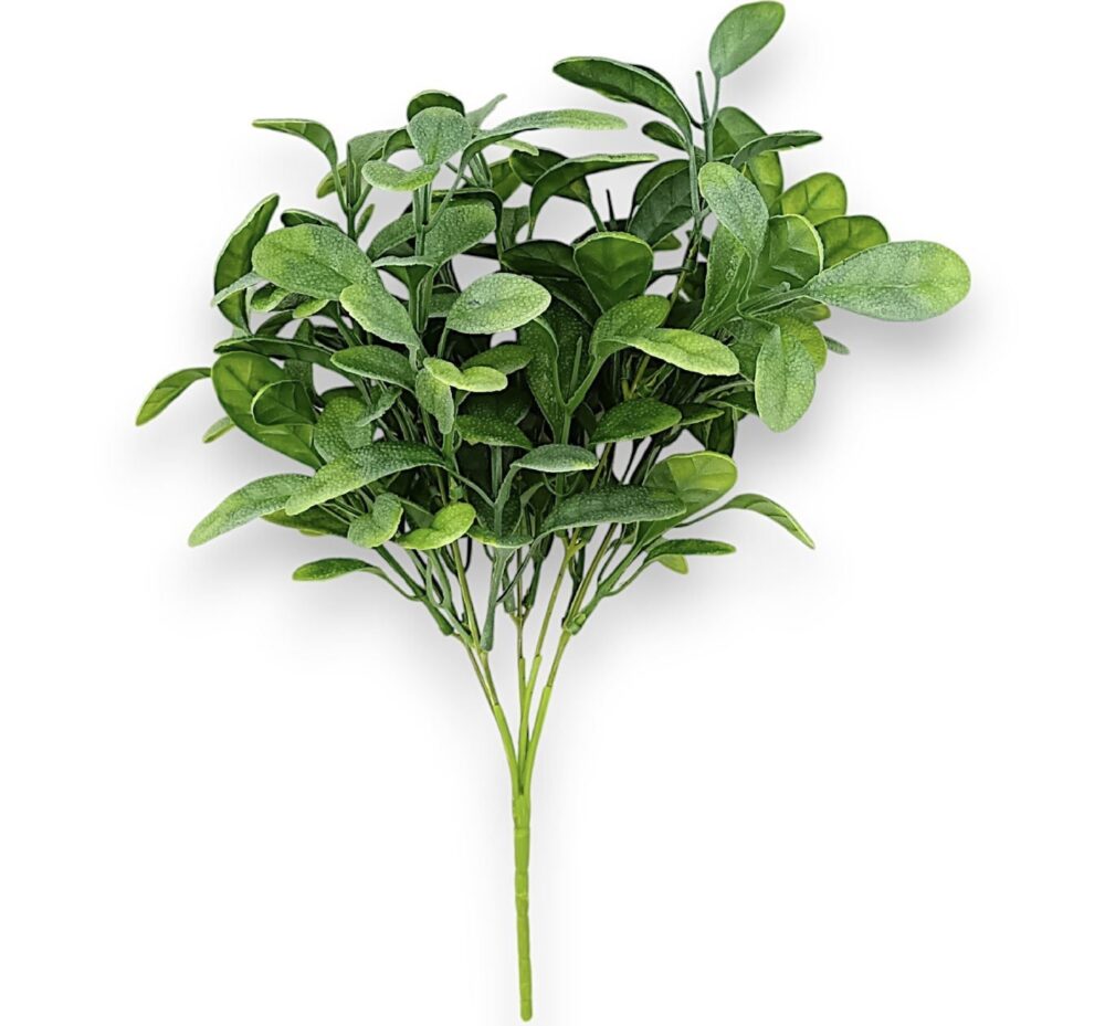 Větvička eukalyptus - Image 2