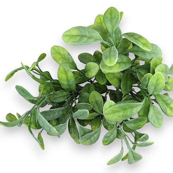 Větvička eukalyptus