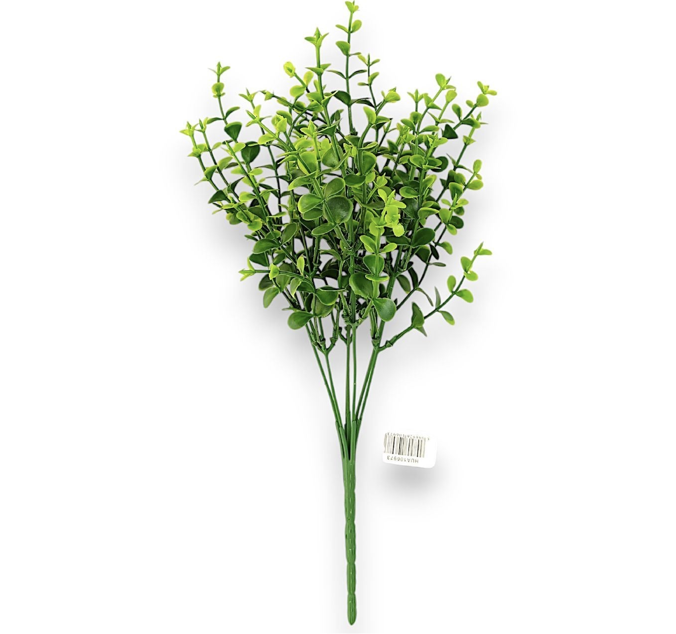 Eukalyptus svazek Image 2