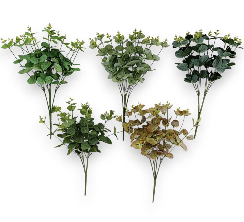 Větvička eukalyptus zelená - Image 2