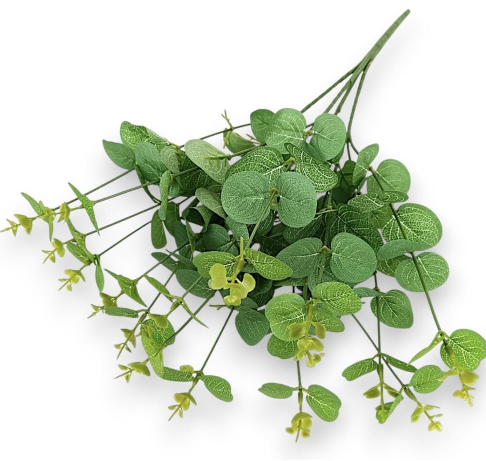 Větvička eukalyptus zelená