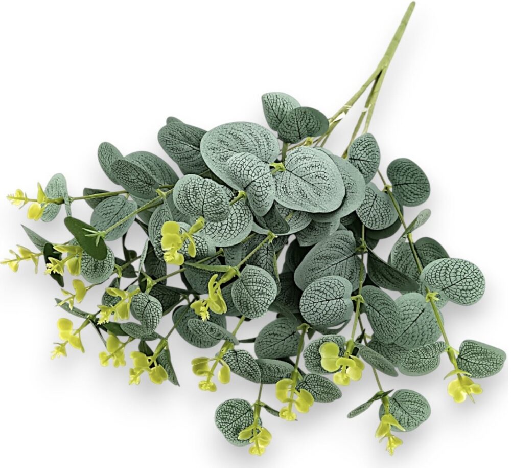 Větvička eukalyptus šedozelená