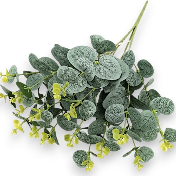 Větvička eukalyptus šedozelená